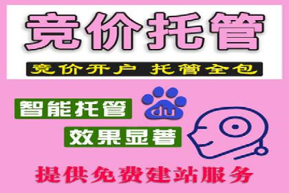 竞价SEM策略在金融行业的成功实践